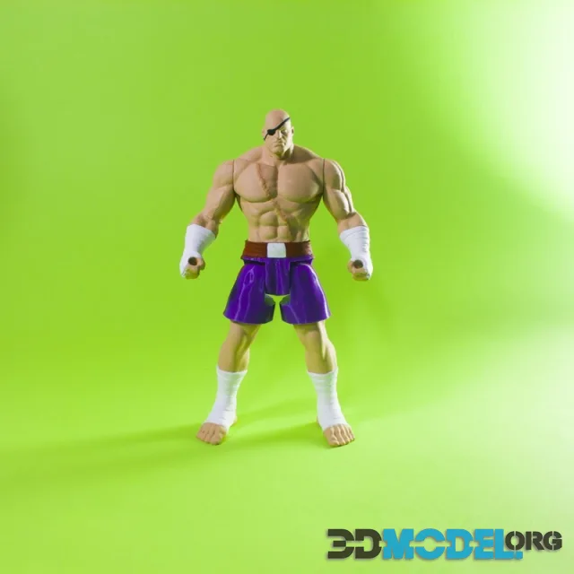 Sagat Standar – Printable