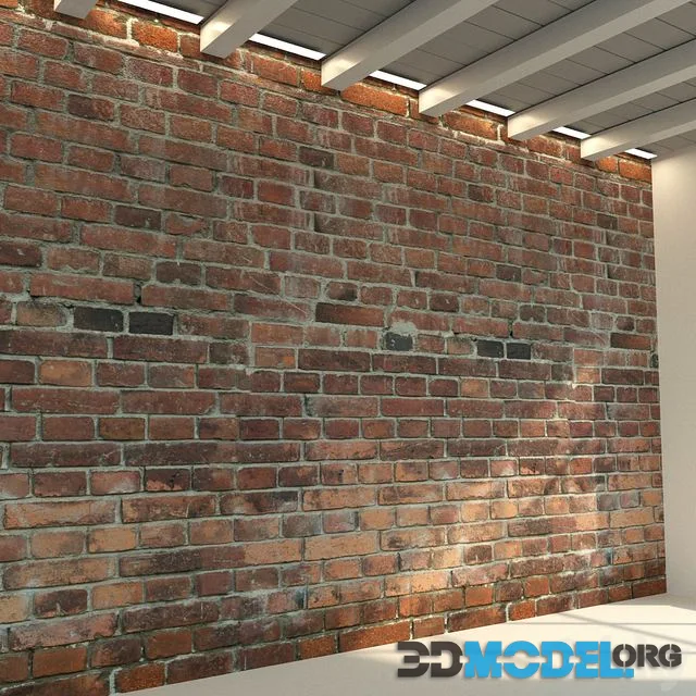 Brick wall. Old brick. 48