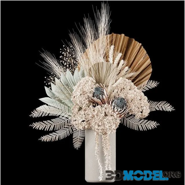 Decorative plants