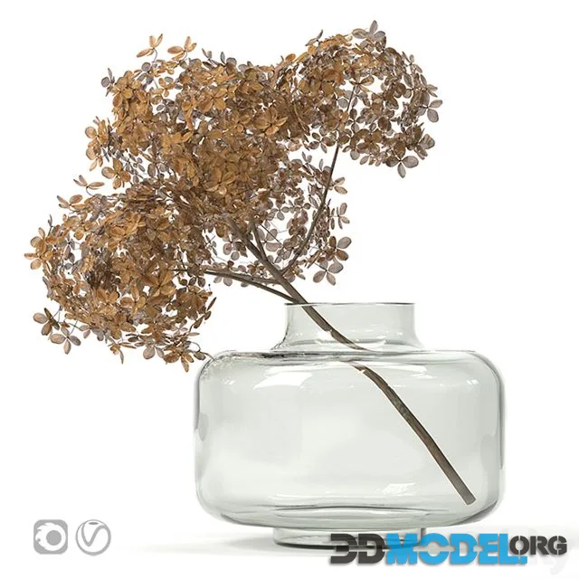 Dried flower vase