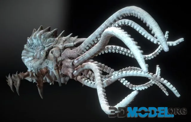 KRAKEN ANIMATIONS