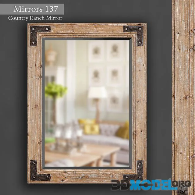 Mirror 137