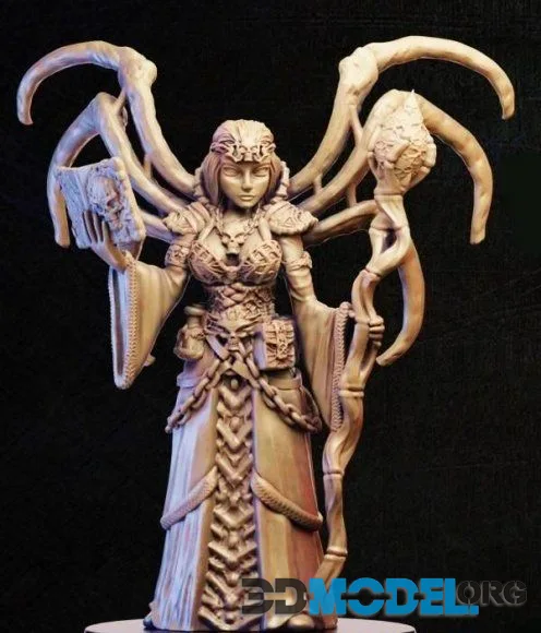 Necromancer with bone wings