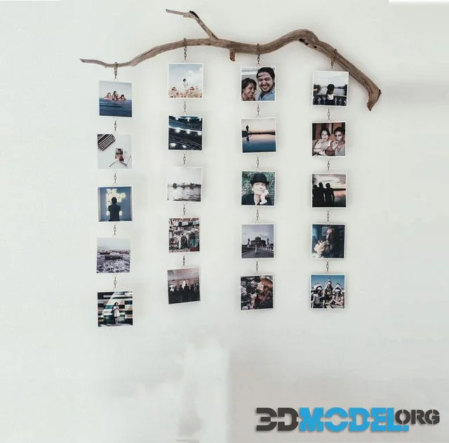Photo branch