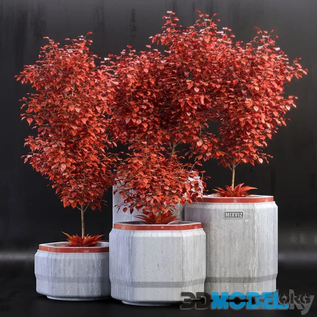 Plants_01