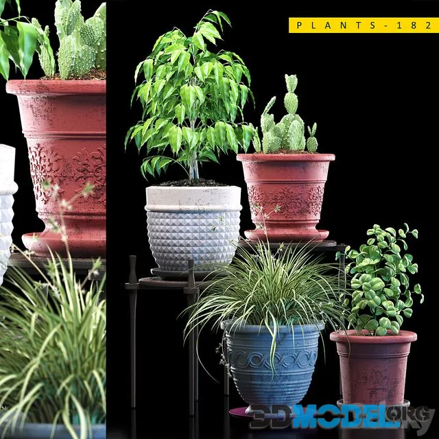 PLANTS 182