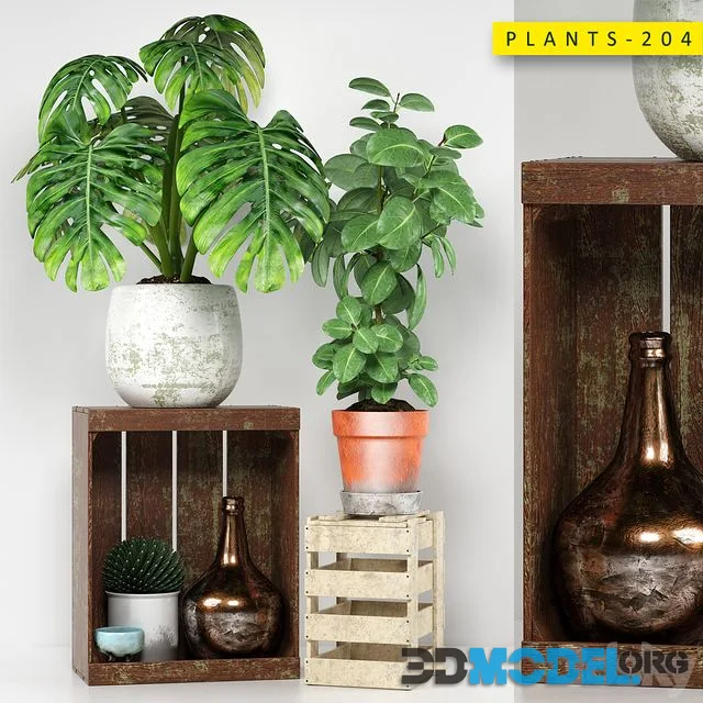 PLANTS 204