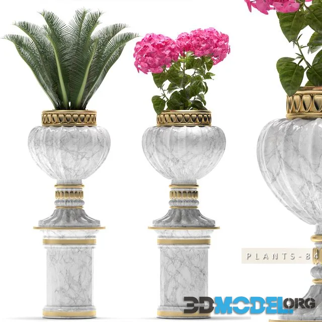 PLANTS 84