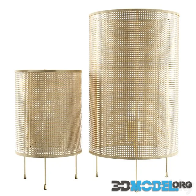 Zara Home Rattan Lamp