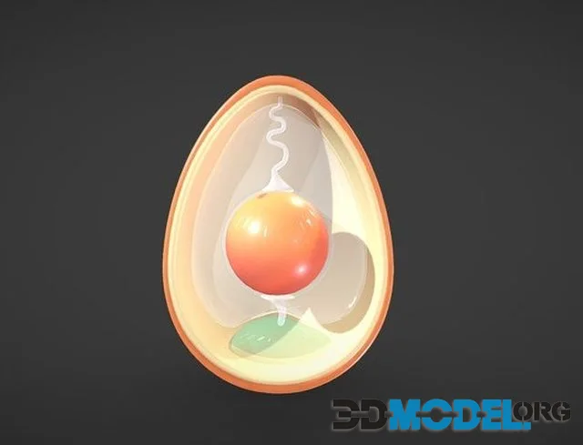 Anatomy Of Bird Egg