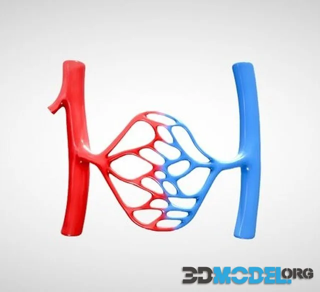Blood Vessel Anatomy (PBR)
