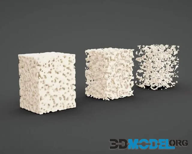 Bone Tissue Structure (PBR)