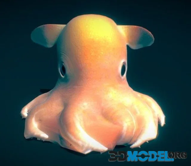 Dumbo Octopus (PBR)