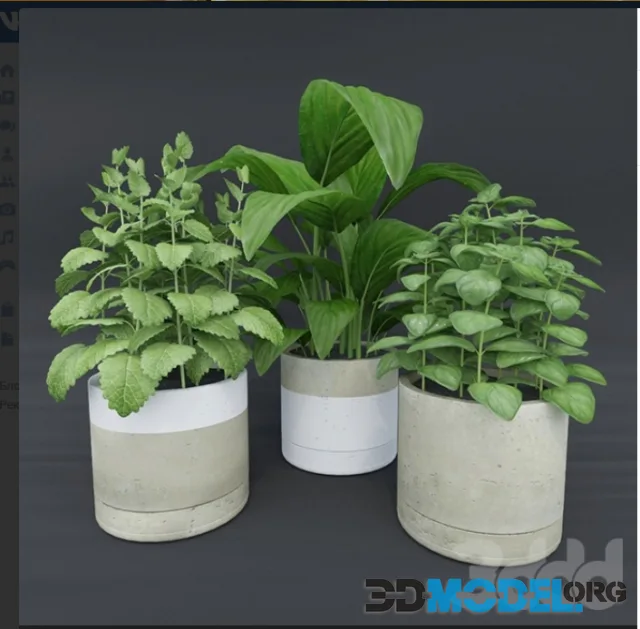 Horizon plant