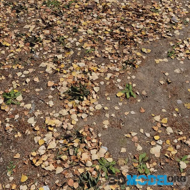 Leaf_Earth 3