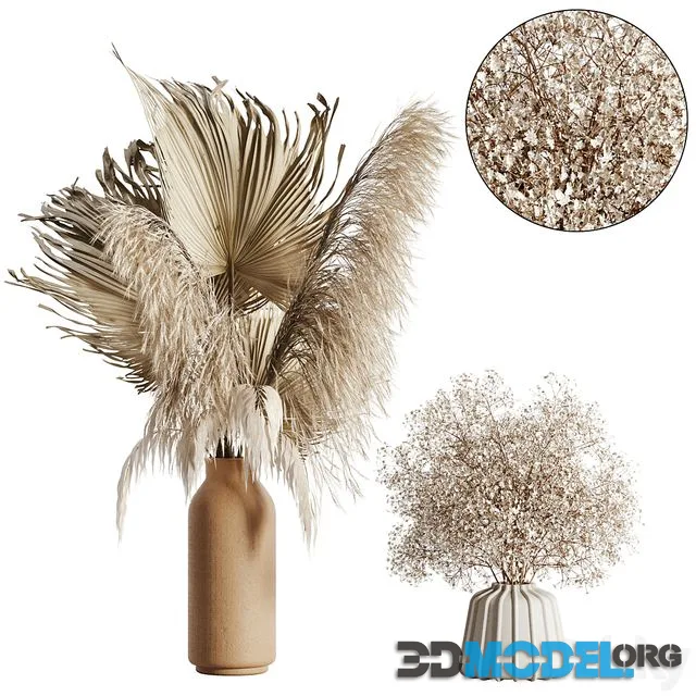 Pampas set 04