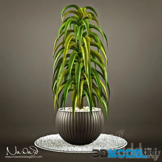 Pot Plant 1