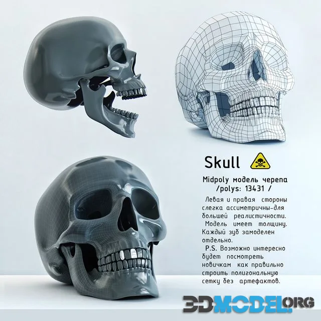 Skull