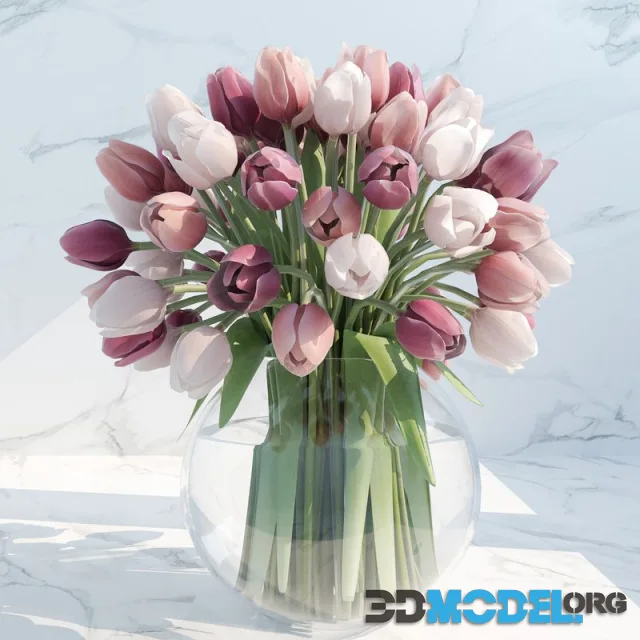tulips in a vase