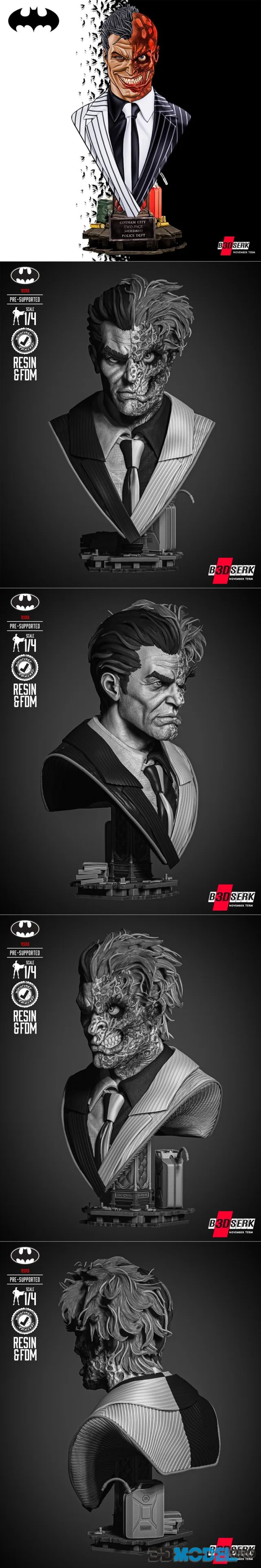 B3DSERK - Two Face Portrait Bust – Printable
