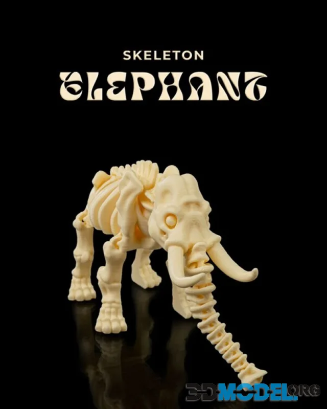 Skeleton Elephant – Printable
