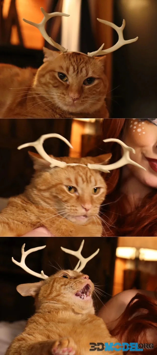 Cat Sized Deer Antlers – Printable