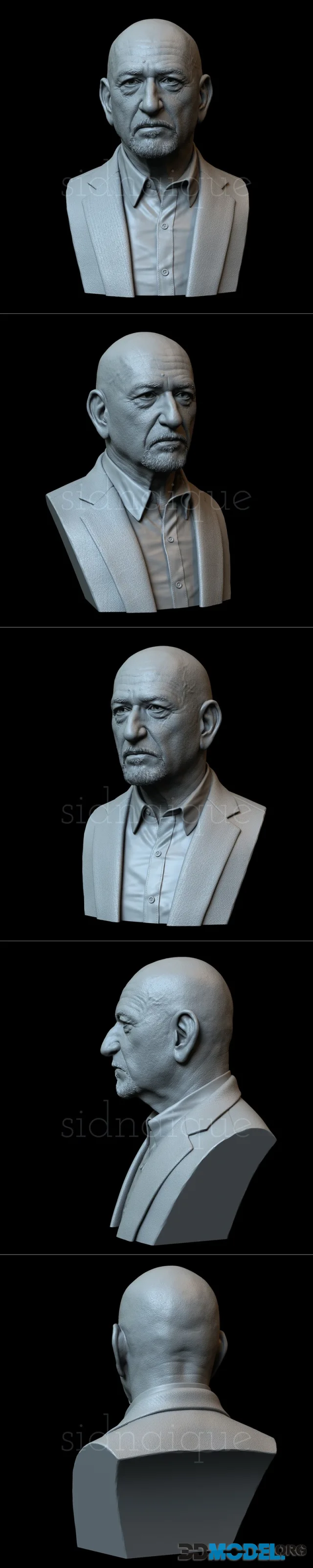 Ben Kingsley Bust – Printable