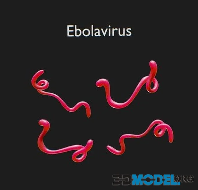Ebola Virus