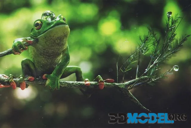 Frog tree (PBR)