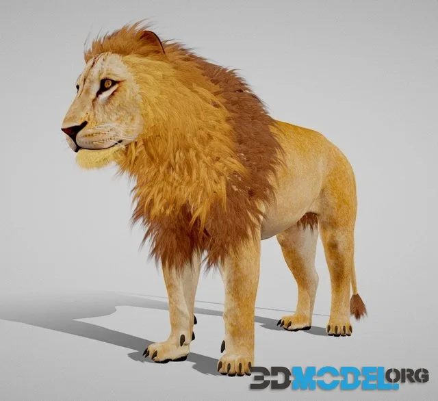 Lion The King Textured Hair (PBR)