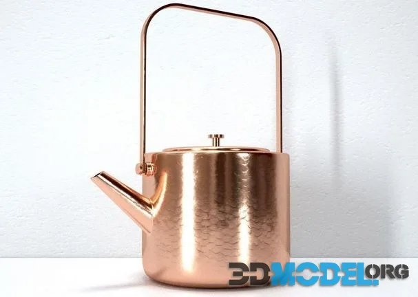 Stainless Copper Tea Kettle