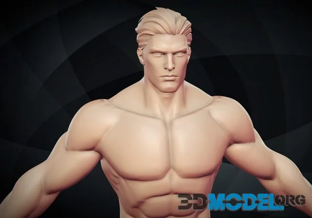 Stylized Hero Basemesh Man Zbursh Highpoly (PBR)
