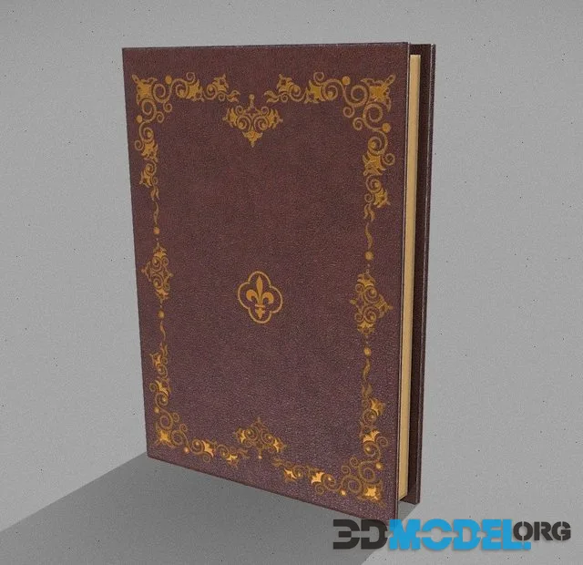 Vintage Book