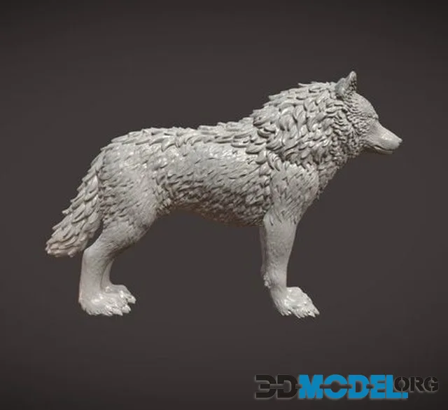 Wolf II Ix