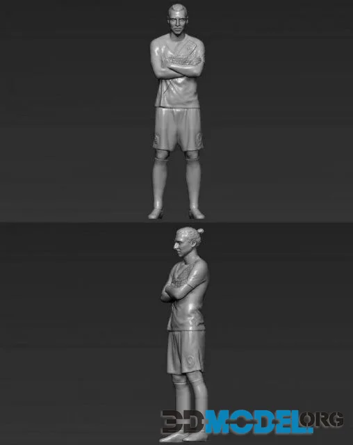 Zlatan Ibrahimovic