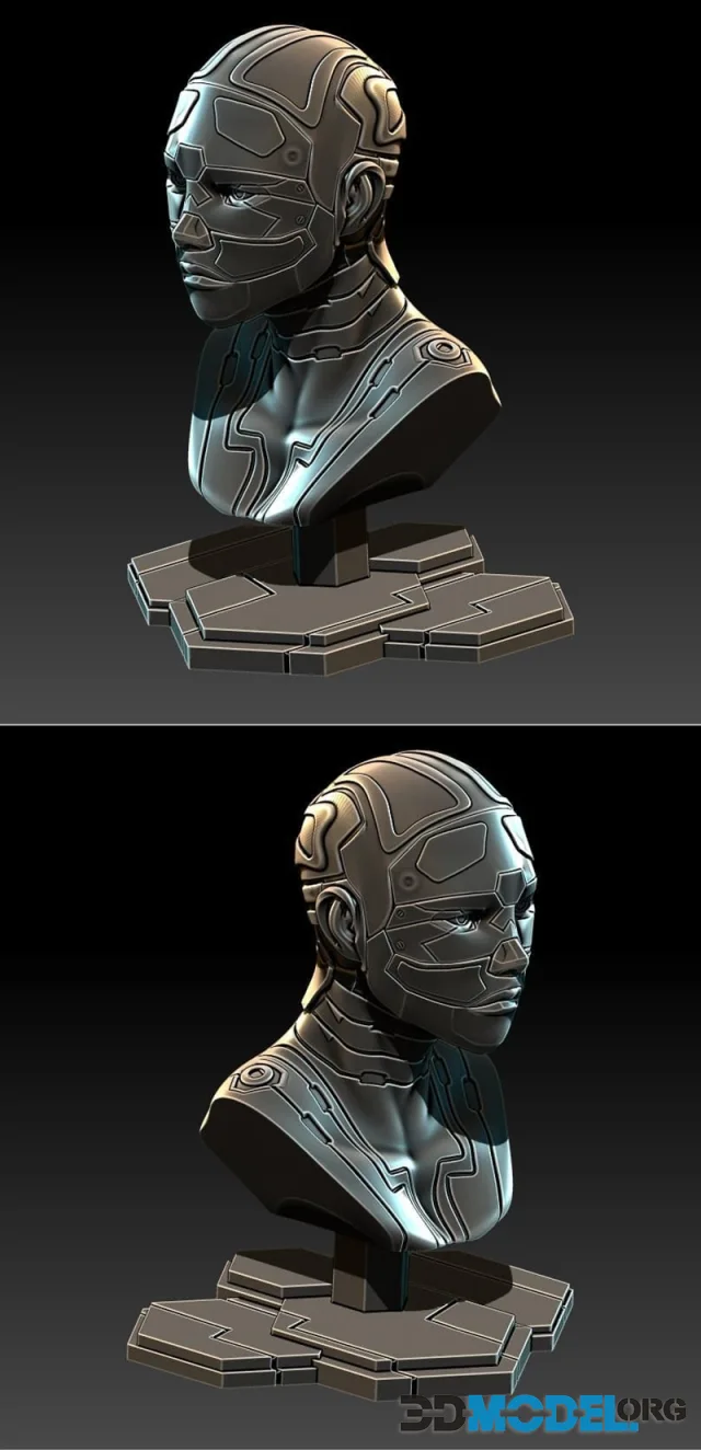 Cyborg Bust – Printable