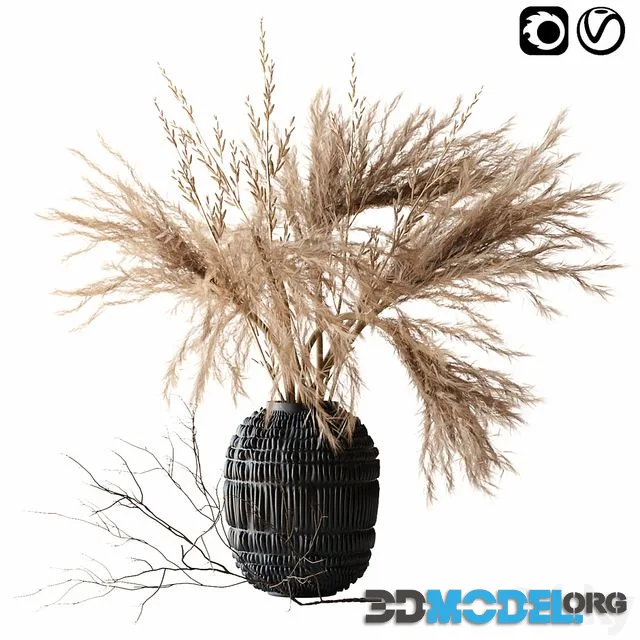Brown pampas