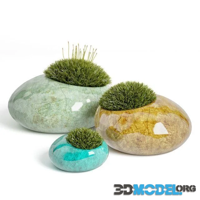 moss rocks