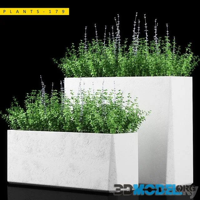 PLANTS 179
