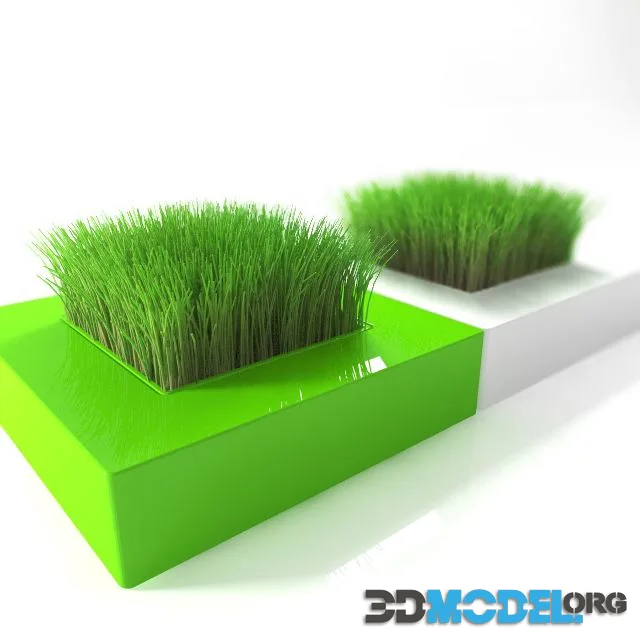 Pot of grass