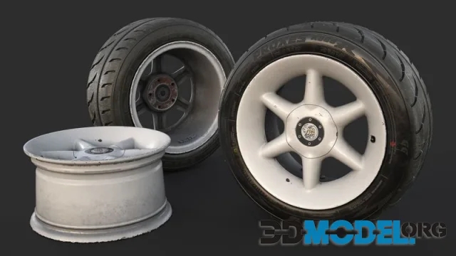 Rim RIAL RS85 and Tire TOYO Proxes R888 (PBR)