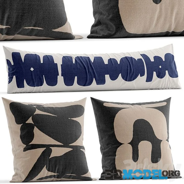Westelm Pillow 5
