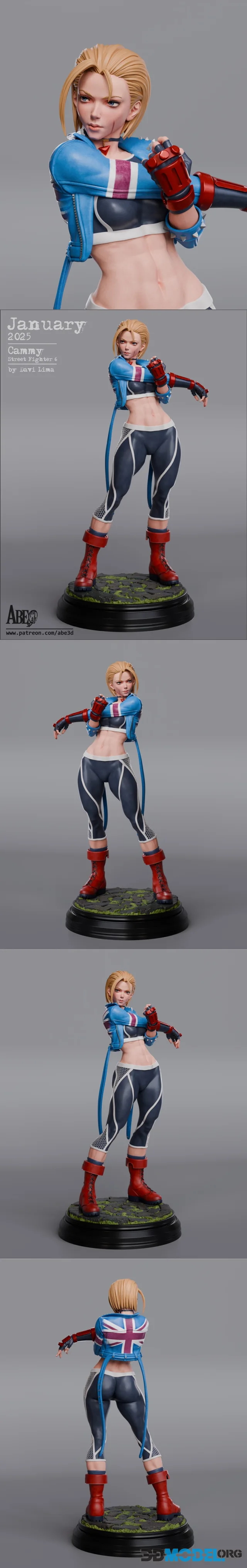 Abe3D - Cammy SF6 – Printable