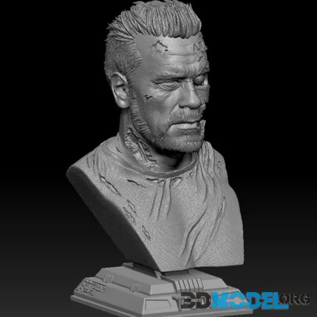 T800 Bust – Printable