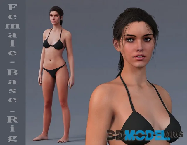Female Base Rig (PBR)