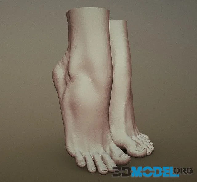 Female Foot 2 (PBR)