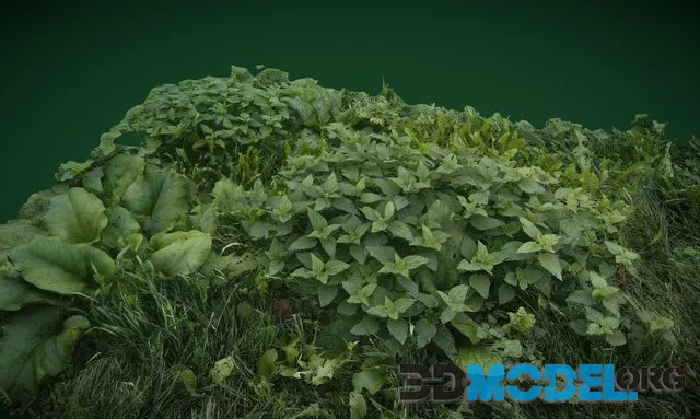 Grass (PBR)
