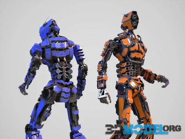 Humanoid robot