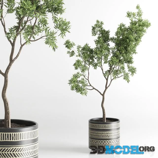 Indoor plant 56 vase handmade pottery plant tree pot