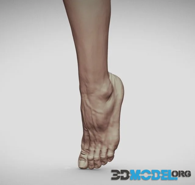 Male Foot 2 (PBR)